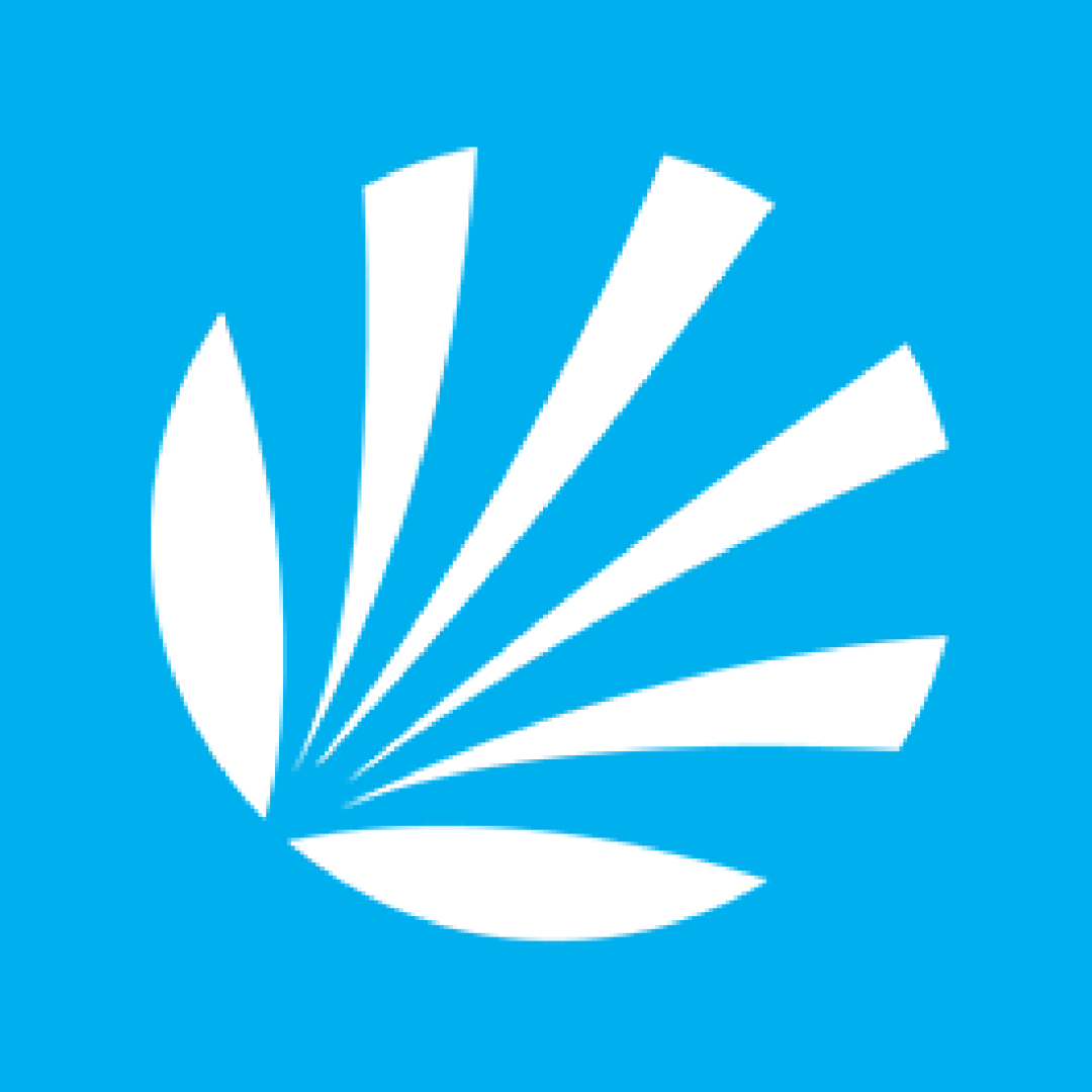 Lulu Financial Services